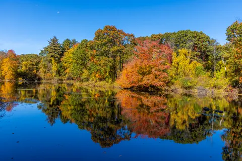 秋の湖 4K壁紙 · autumn · 3840×2561