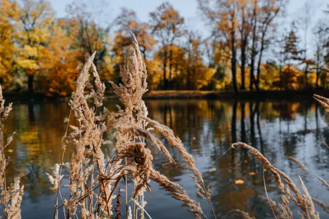 秋の湖 4K壁紙 · autumn · 3840×2560