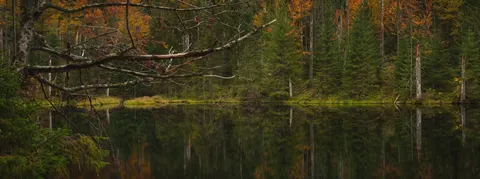 Fond d'écran Lac d'automne 4K · autumn · 3840×1430