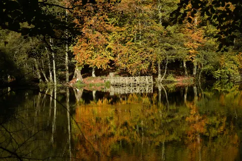 Fond d'écran Lac d'automne 4K · autumn · 3840×2560