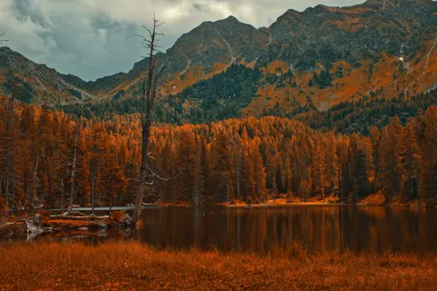 Fondo de pantalla Lago de otono 4K · autumn · 3840×2563