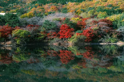 Fondo de pantalla Lago de otono 4K · autumn · 3840×2560