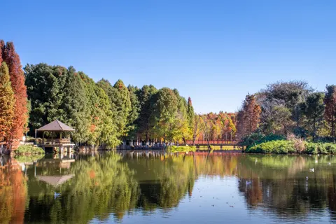 Sonbahar Gölü 4K Duvar Kağıdı · autumn · 3840×2560
