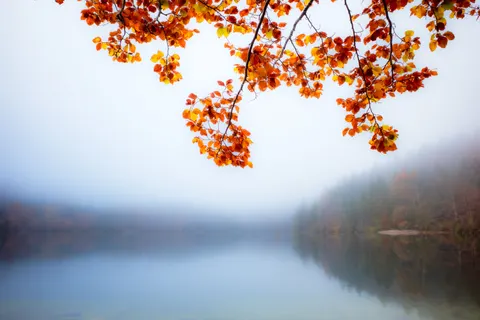Sonbahar Gölü 4K Duvar Kağıdı · autumn · 3840×2560