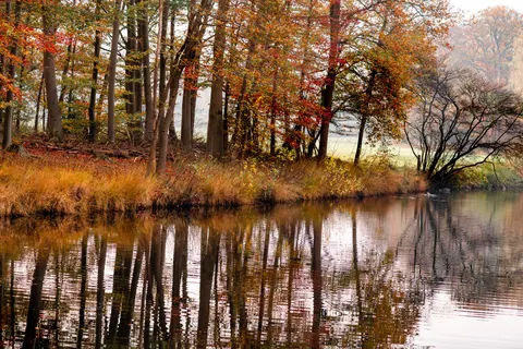 가을 호수 4K 배경화면 · autumn · 3840×2561