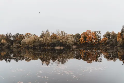 Fondo de pantalla Lago de otono 4K · autumn · 3840×2560