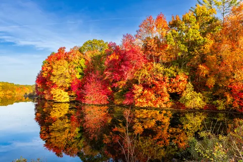 والپیپر دریاچه پاییزی با کیفیت 4K · autumn · 3840×2561