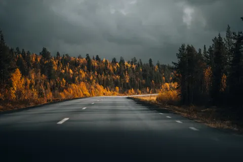 Sfondo Foresta Autunnale 4K · nature · 3840×2560
