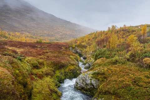 秋日山峦 4K壁纸 · autumn · 3840×2560