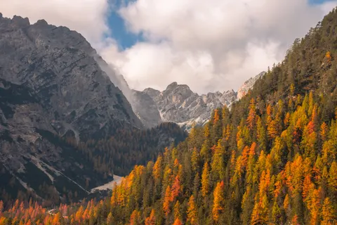 秋山 4K桌布 · autumn · 3840×2560