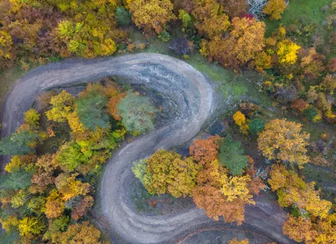 Autumn Forest 4K Wallpaper · nature · 3840×2796