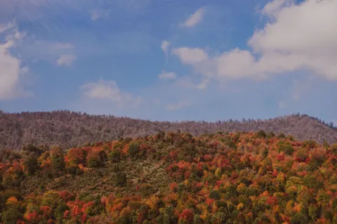 Hình nền Núi Non Mùa Thu 4K · autumn · 3840×2560