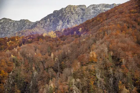 Autumn Mountains 4K Wallpaper · autumn · 3840×2561