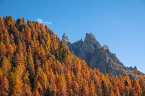 والپیپر کوه‌های پاییزی با کیفیت 4K · autumn · 3840×2560
