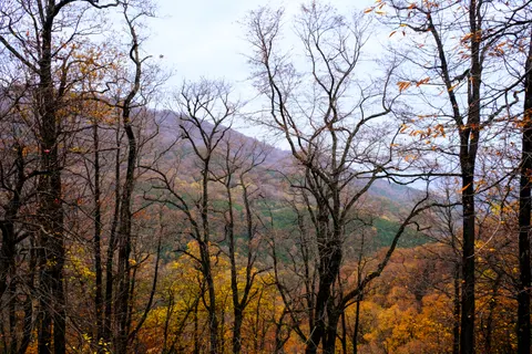 Hình nền Núi Non Mùa Thu 4K · autumn · 3840×2560