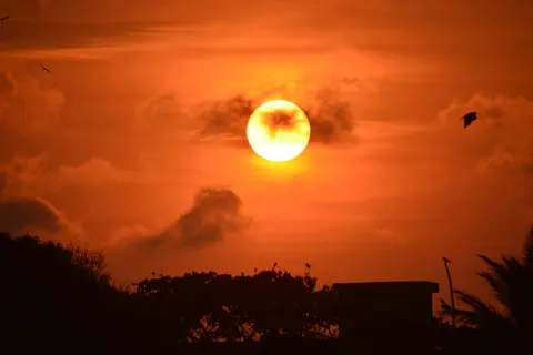 Обои Золотой закат 4K · sunset · 3840×2560
