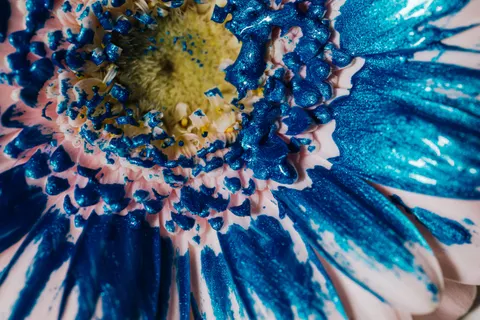 花卉微距 4K壁纸 · flowers · 3840×2560