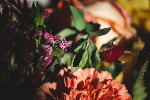 花卉微距 4K壁纸 · flowers · 3840×2560