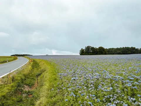 薰衣草田 4K壁纸 · flowers · 3840×2880