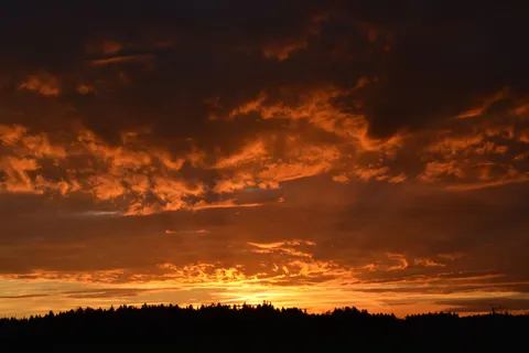 金色夕阳 4K壁纸 · sunset · 3840×2560