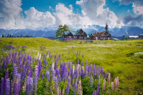 Lavendelfeld 4K Hintergrundbild · flowers · 3840×2560