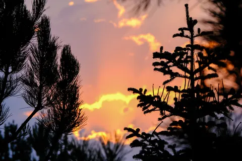 सूर्यास्त की छाया आकृति 4K वॉलपेपर · sunset · 3840×2560