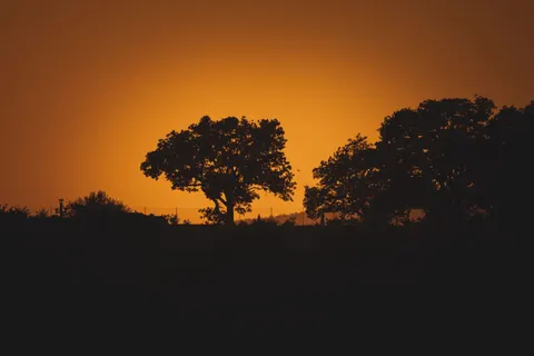 노을 실루엣 4K 배경화면 · sunset · 3840×2560