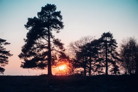 Tapeta Sylwetka o Zachodzie Słońca 4K · sunset · 3840×2560