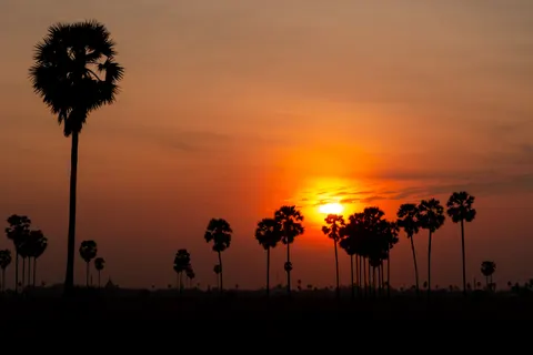 सूर्यास्त की छाया आकृति 4K वॉलपेपर · sunset · 3840×2560