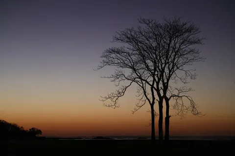 والپیپر سایه‌نمای غروب با کیفیت 4K · sunset · 3840×2561