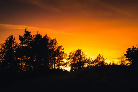 والپیپر سایه‌نمای غروب با کیفیت 4K · sunset · 3840×2562