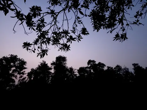 Silhouette bei Sonnenuntergang 4K Hintergrundbild · sunset · 3840×2880