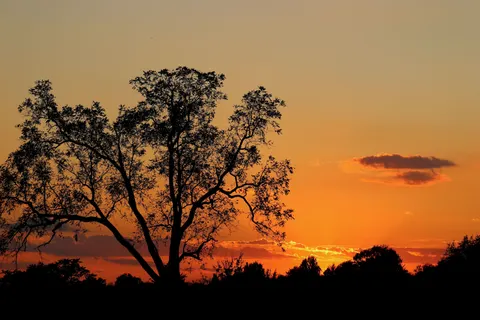 सूर्यास्त की छाया आकृति 4K वॉलपेपर · sunset · 3840×2560