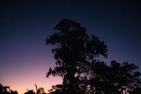 सूर्यास्त की छाया आकृति 4K वॉलपेपर · sunset · 3840×2560