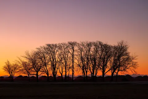 Tapeta Sylwetka o Zachodzie Słońca 4K · sunset · 3840×2561