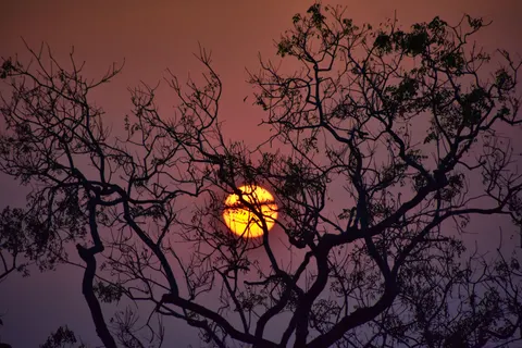 Tapeta Sylwetka o Zachodzie Słońca 4K · sunset · 3840×2560