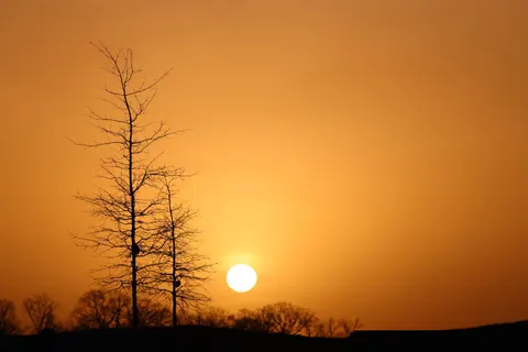 夕暮れのシルエット 4K壁紙 · sunset · 3840×2561