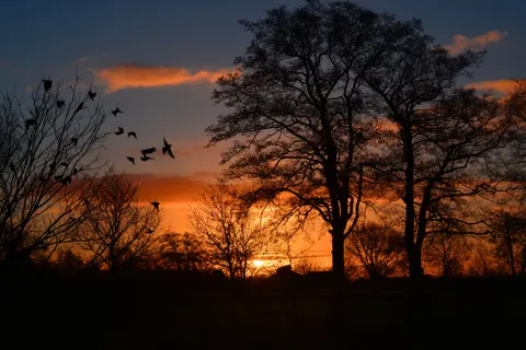 सूर्यास्त की छाया आकृति 4K वॉलपेपर · sunset · 3840×2560