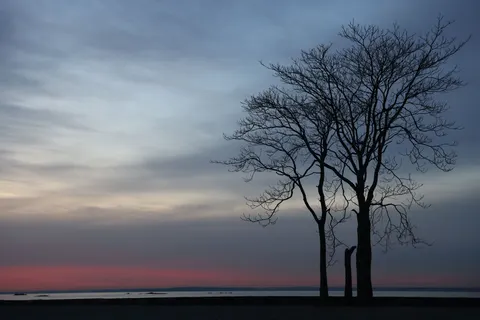Tapeta Sylwetka o Zachodzie Słońca 4K · sunset · 3840×2561