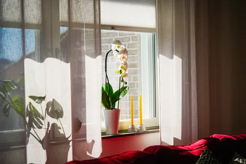Window Light 4K Wallpaper · minimal · 3840×2560