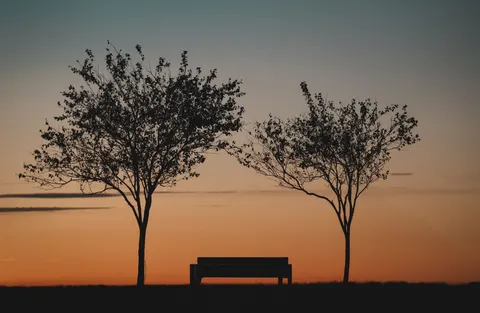 夕暮れのシルエット 4K壁紙 · sunset · 3840×2498