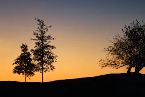 夕暮れのシルエット 4K壁紙 · sunset · 3840×2561