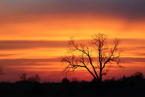 सूर्यास्त की छाया आकृति 4K वॉलपेपर · sunset · 3840×2560