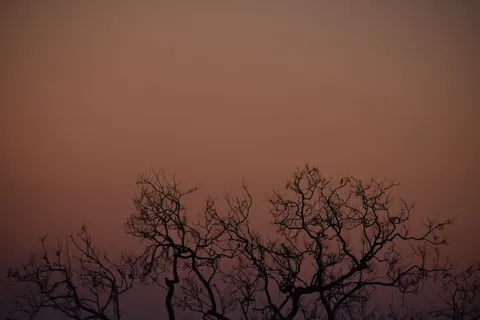 Tapeta Sylwetka o Zachodzie Słońca 4K · sunset · 3840×2560