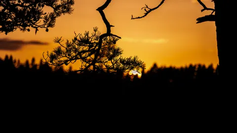 노을 실루엣 4K 배경화면 · sunset · 3840×2160