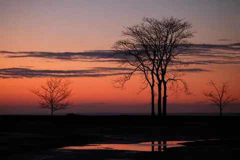 والپیپر سایه‌نمای غروب با کیفیت 4K · sunset · 3840×2561