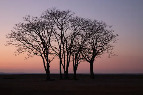 Tapeta Sylwetka o Zachodzie Słońca 4K · sunset · 3840×2561