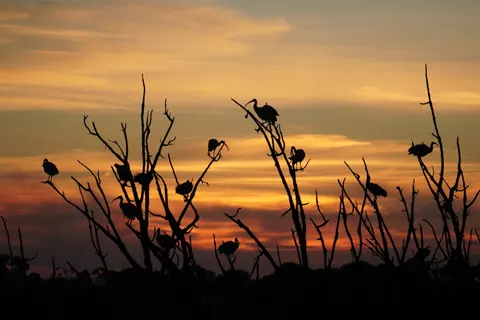 Fondo de pantalla Silueta al atardecer 4K · sunset · 3840×2560