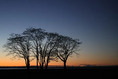 Tapeta Sylwetka o Zachodzie Słońca 4K · sunset · 3840×2561