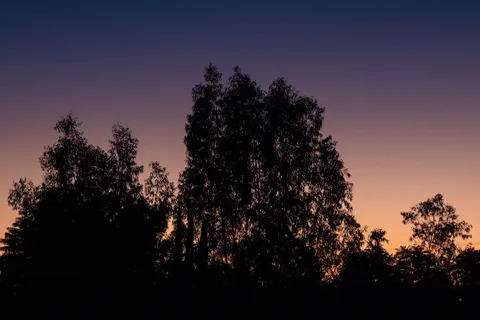 والپیپر سایه‌نمای غروب با کیفیت 4K · sunset · 3840×2560